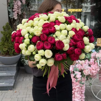 Кущові та піоновидні троянди