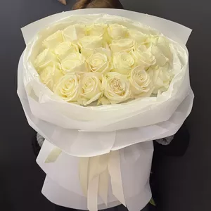 Recommended Product #234-1