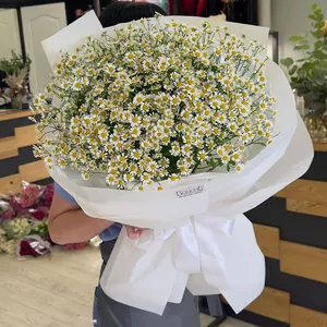 Recommended Product #234-3