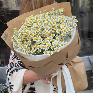 Recommended Product #234-3