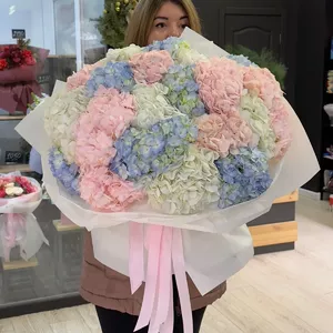 Recommended Product #234-4