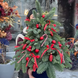 Recommended Product #261-1